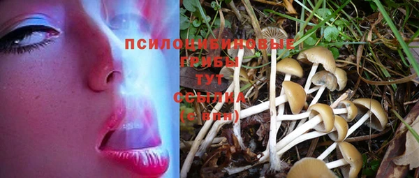 кокаин VHQ Богданович