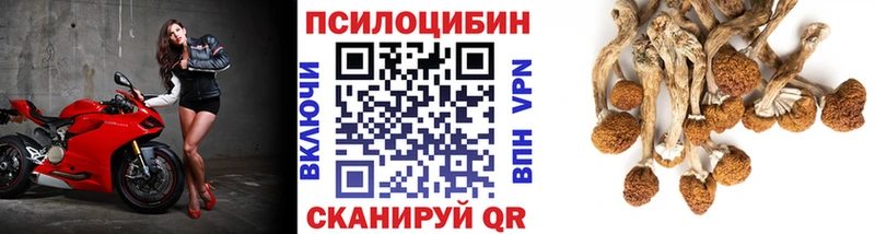 Галлюциногенные грибы прущие грибы  купить   Камышин 